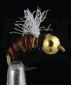 MFC Shop Flies Nyman's Shop Vac