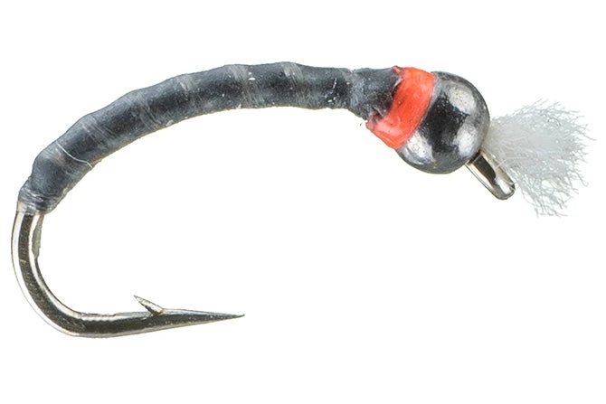 MFC Rowley's Grey Boy 3 MFC Rowley's Grey Boy