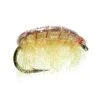 Umpqua Big Horn Shrimp