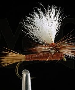 MFC Carlson's Copper Haze