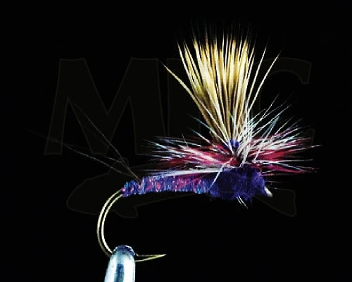 MFC Keller's Rocky Mountain Mint Purple 3 MFC Keller's Rocky Mountain Mint Purple