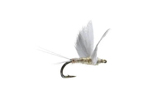 Umpqua No Hackle Gray/Olive 3 Umpqua No Hackle Gray/Olive