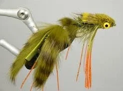 MFC Galloup's Nancy P - Olive