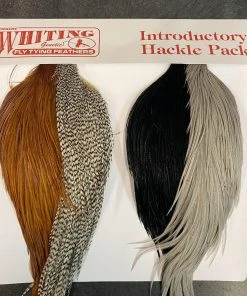Whiting Cape Hackle Starter Pack