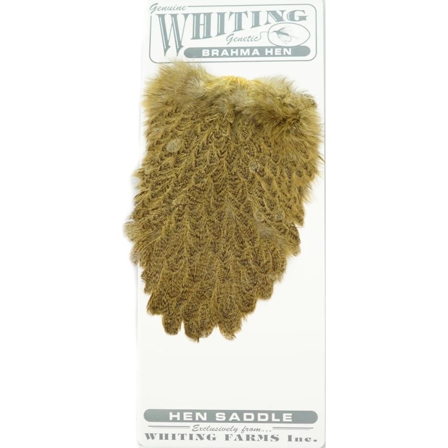 Whiting Brahma Hen Saddle 4 Whiting Brahma Hen Saddle