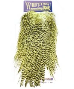 Hackle Whiting American Rooster Saddle