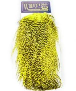 Hackle Whiting American Rooster Saddle