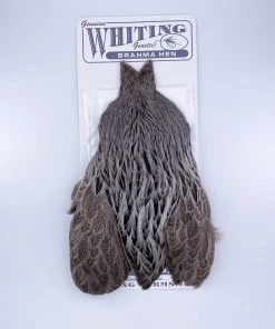 Whiting Brahma Hen Cape For Soft Hackles 15 Whiting Brahma Hen Cape For Soft Hackles