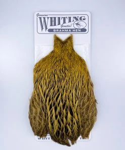 Whiting Brahma Hen Cape For Soft Hackles 23 Whiting Brahma Hen Cape For Soft Hackles