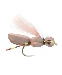 Fulling Mill Slum Hopper Brown Shop Flies
