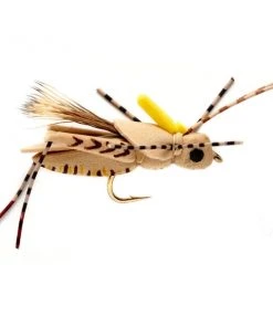 Fulling Mill Project Hopper Shop Flies