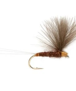 Fulling Mill V Wing Mahogany