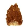 Hackle Whiting 4B Hen Saddle