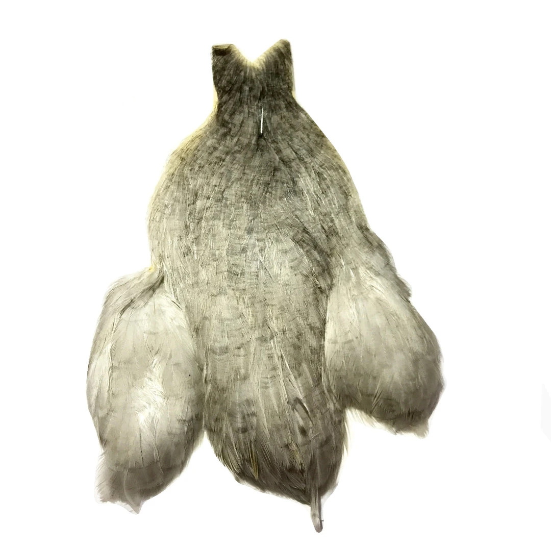 Whiting Bantam Hen Cape Hackle 3 Whiting Bantam Hen Cape Hackle