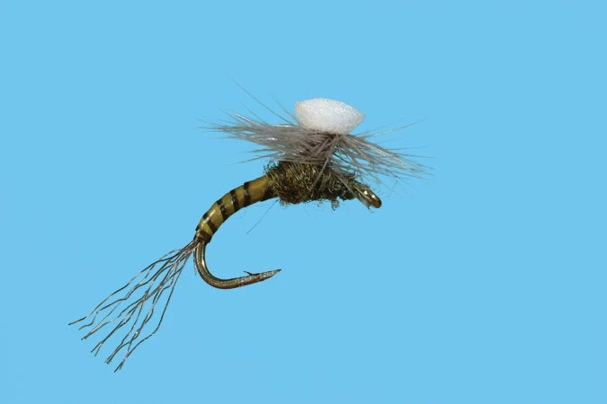 Solitude Brook's Sprout - Baetis Shop Flies 3 Solitude Brook's Sprout - Baetis Shop Flies
