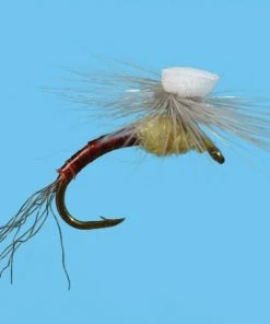 Solitude Brook's Sprout - PMD