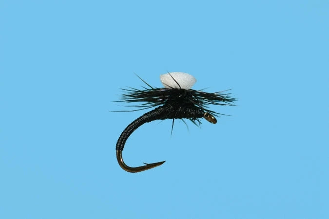 Solitude Brook's Sprout Midge - Black Shop Flies 3 Solitude Brook's Sprout Midge - Black Shop Flies