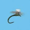 Solitude Brook's Sprout Midge - Olive