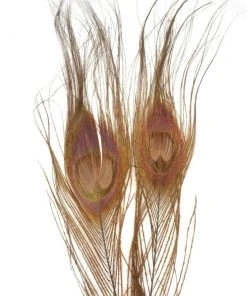 Nature's Spirit Bleached Dyed Peacock Sticks