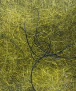 Hareline Cohen's Carp Dub