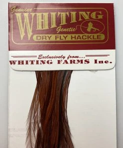 Whiting 100 Pack Dry Fly Hackle - Coachman Brown - 16