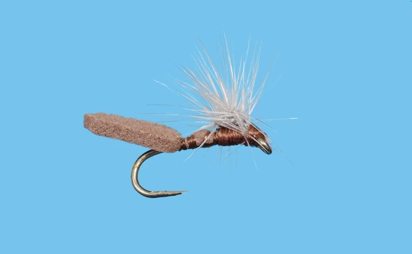 Solitude Mother Shucker - Brown Shop Flies 3 Solitude Mother Shucker - Brown Shop Flies