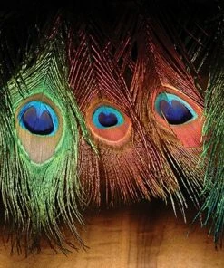 Hareline Dyed Peacock Eye Sticks Feathers & Marabou