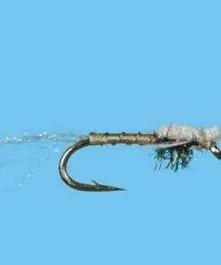 Solitude Mayhem Emerger - PMD