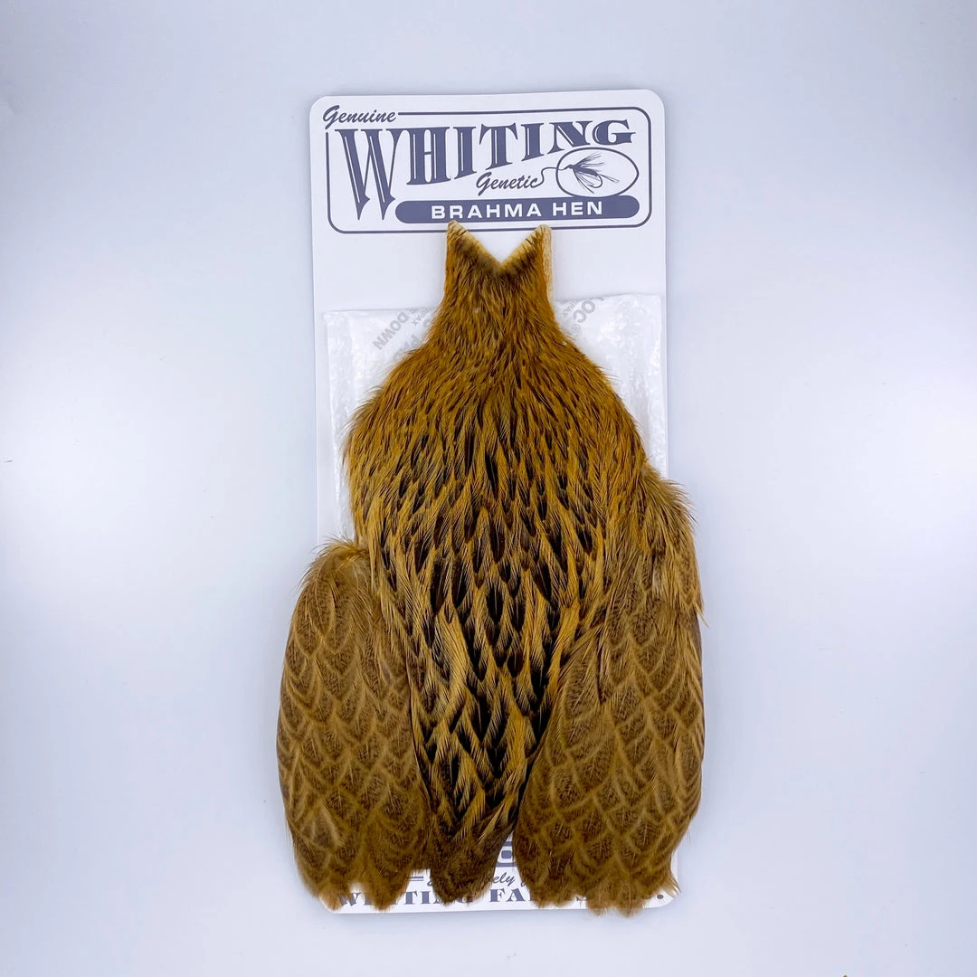 Whiting Brahma Hen Cape For Soft Hackles 13 Whiting Brahma Hen Cape For Soft Hackles