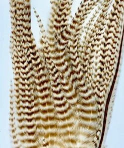 Wapsi Hackle Ewing Wooly Bugger Patch