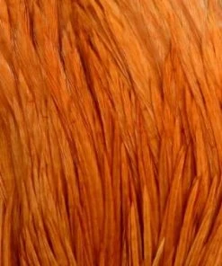 Wapsi Hackle Ewing Wooly Bugger Patch