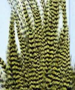 Wapsi Hackle Ewing Wooly Bugger Patch