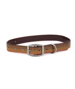 DOGS Squatch/Guin/Baby Favorites Fishpond Salty Dog Collar