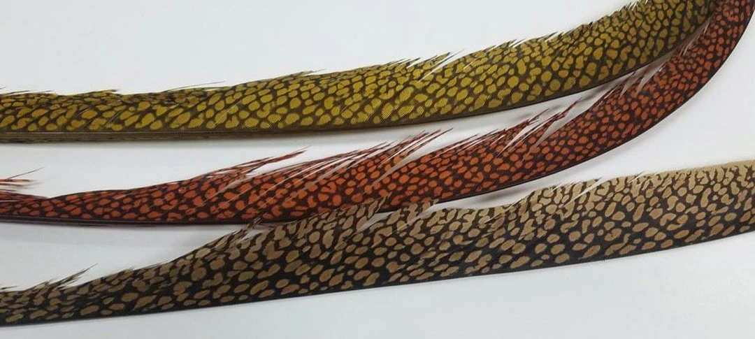 Nature's Spirit Golden Pheasant Center Tail - Piece 3 Nature's Spirit Golden Pheasant Center Tail - Piece