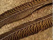 Nature's Spirit Golden Pheasant Side Tails Feathers & Marabou