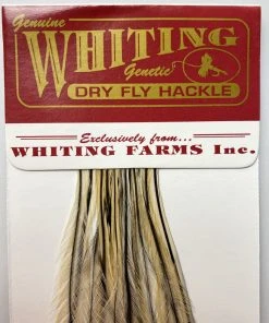 Whiting 100 Pack Dry Fly Hackle - Golden Badger - 14
