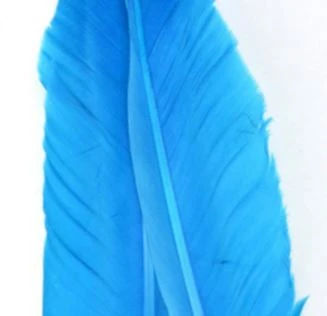 Nature's Spirit Goose Quills 10 Nature's Spirit Goose Quills