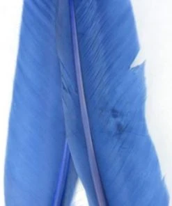 Nature's Spirit Goose Quills 14 Nature's Spirit Goose Quills