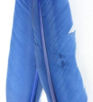 Nature's Spirit Goose Quills 7 Nature's Spirit Goose Quills