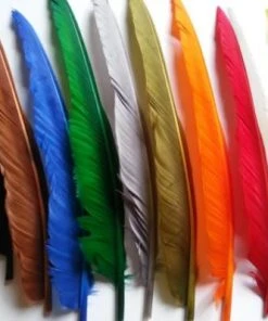 Nature's Spirit Goose Quills 16 Nature's Spirit Goose Quills