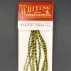 Whiting 100 Pack Dry Fly Hackle - Grizzly Dyed Olive - 14