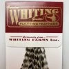 Whiting 100 Pack Dry Fly Hackle - Grizzly - 8 2 Whiting 100 Pack Dry Fly Hackle - Grizzly - 8