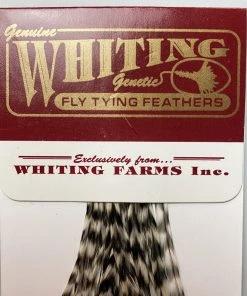 Whiting 100 Pack Dry Fly Hackle - Grizzly - 20