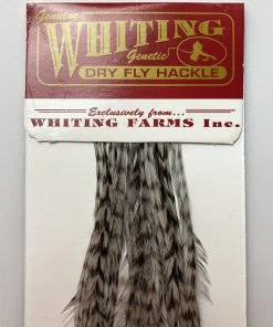 Whiting 100 Pack Dry Fly Hackle - Grizzly Dyed Medium Dun - 14