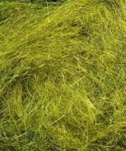 Rohmer Arizona Diamond Hair