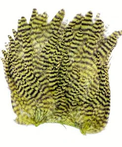 Whiting Bugger Hackle Patch