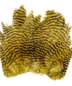 Whiting Bugger Hackle Patch