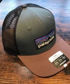 Hats Patagonia P-6 Logo Trucker Hat