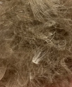 Nature's Spirit Swiss CDC Dubbing Feathers & Marabou 15 Nature's Spirit Swiss CDC Dubbing Feathers & Marabou