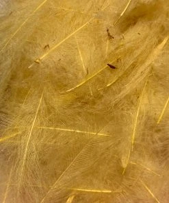 Nature's Spirit Swiss CDC 100% Natural Dyed Grade 21 Nature's Spirit Swiss CDC 100% Natural Dyed Grade